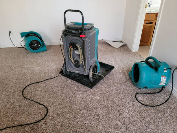 Best Commercial water damage restoration  in Roslyn, NY