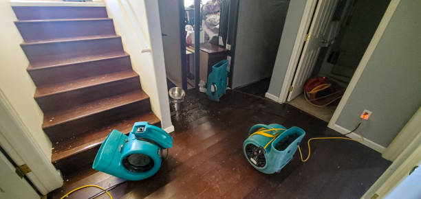Best Water damage restoration near me  in Roslyn, NY