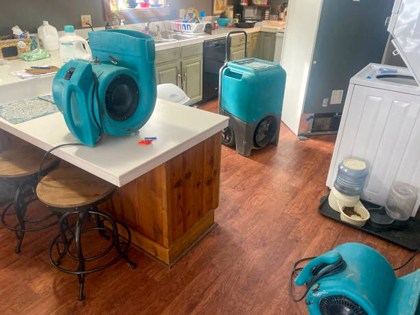 Best Water damage restoration near me  in Roslyn, NY