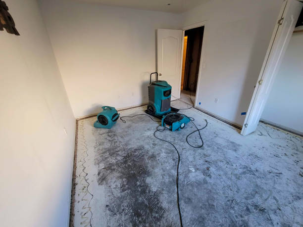 Carpet water damage restoration in Roslyn, NY