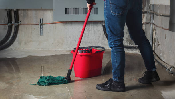 Best Local water damage restoration  in Roslyn, NY