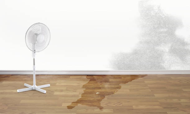 Best Professional water damage repair  in Roslyn, NY