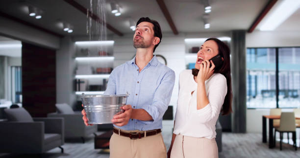 Best Fire Damage Restoration  in Roslyn, NY