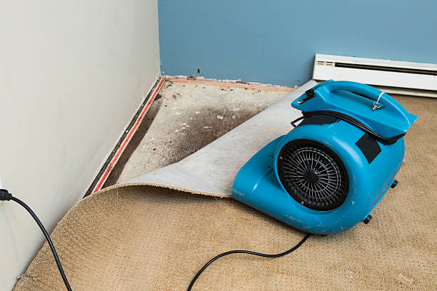 Best Fire Damage Restoration  in Roslyn, NY